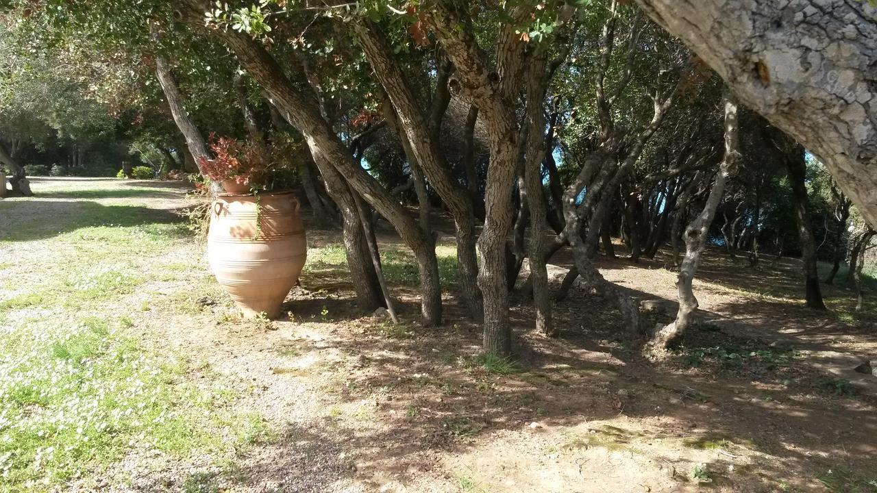Villa Feia Katákolo Kültér fotó