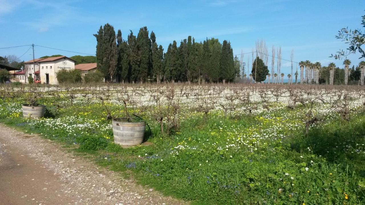 Villa Feia Katákolo Kültér fotó