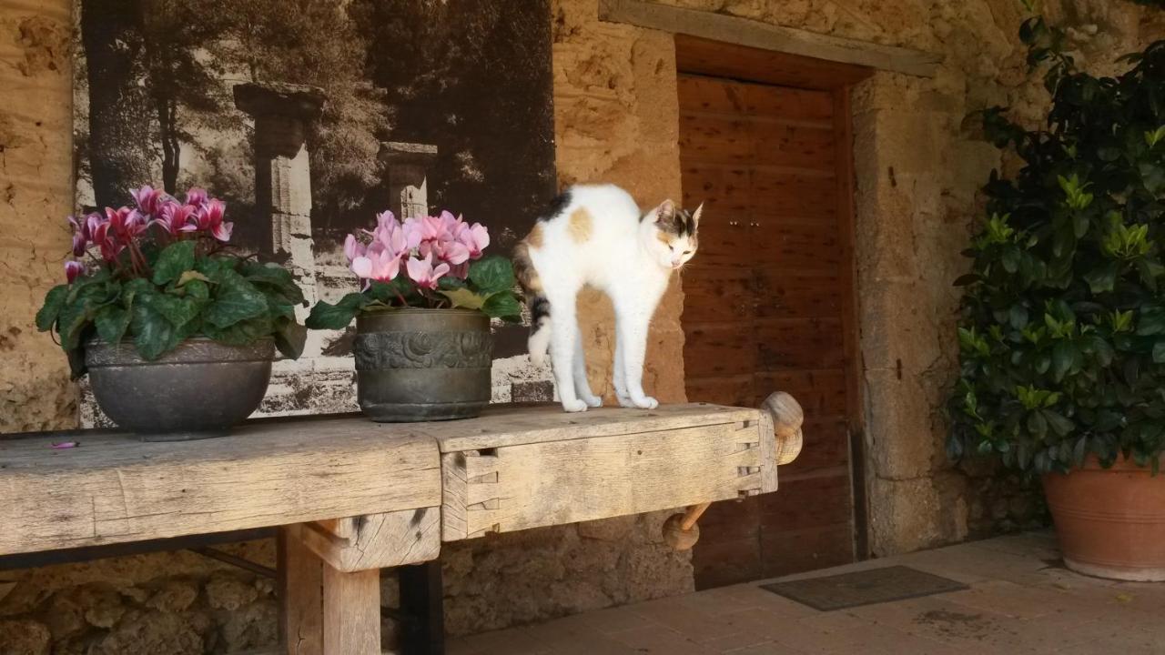Villa Feia Katákolo Kültér fotó