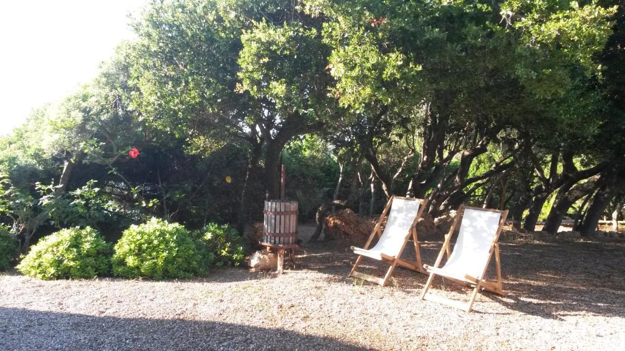 Villa Feia Katákolo Kültér fotó